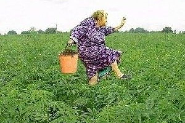 Кракен площадка