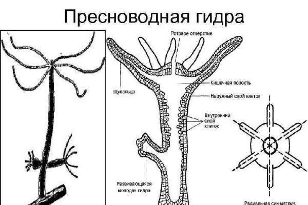 Kraken market ссылка