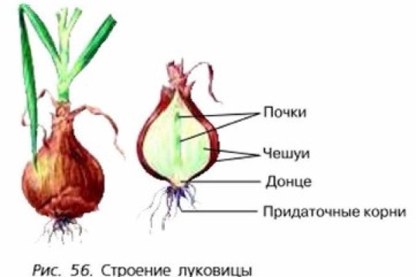 Как оплатить заказ в кракене